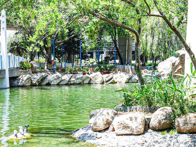 漫步人生 荃灣公園
