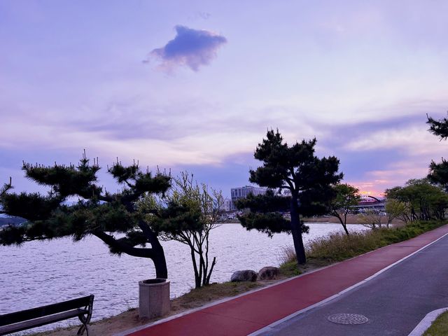 🇰🇷벚꽃길 명소 “경포호수로”