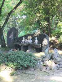 전나무 숲길을 만나볼 수 있는 수국명소