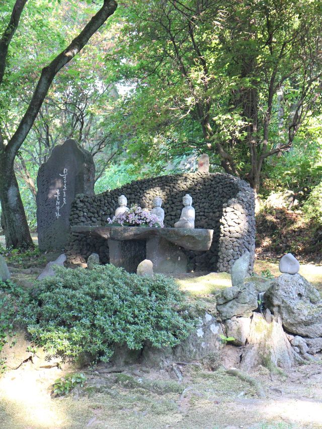 전나무 숲길을 만나볼 수 있는 수국명소