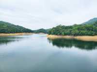 萬宜水庫東霸