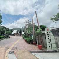 南區漁港主題公園，賞花💐好去處