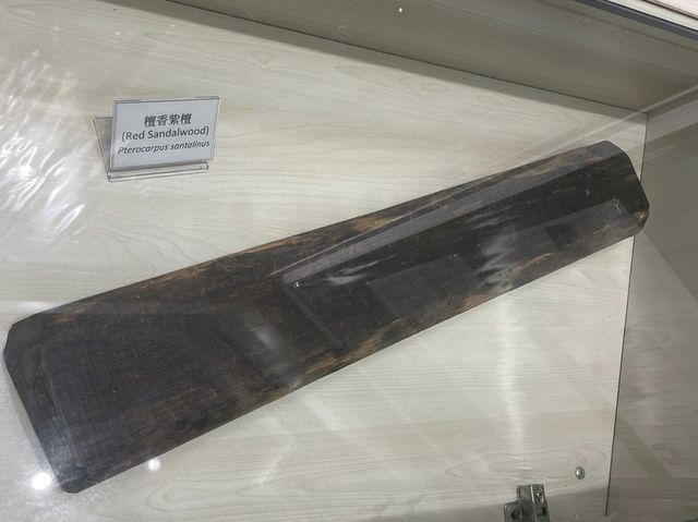 自然保育@展覽室！