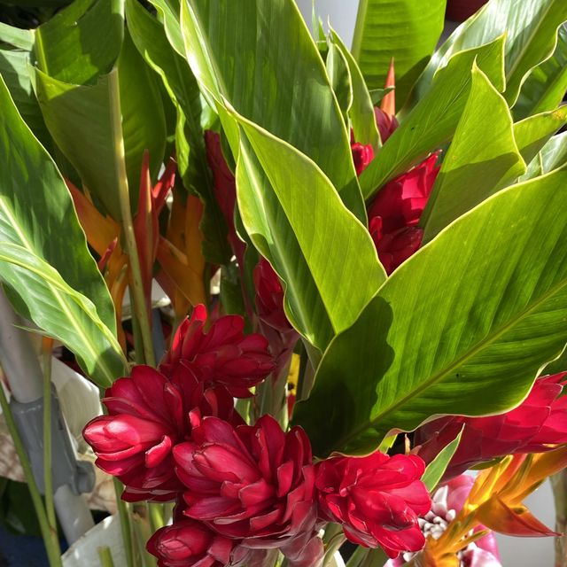 地元の野菜や花がいっぱい Hilo Farmers Market