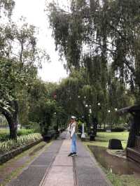 Strolling in Burnham Park