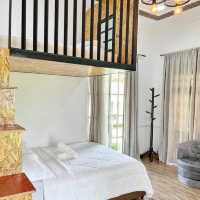 homestay in the middle of padi farm