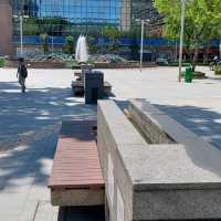 市中心休憩花園
