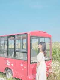 푸릇한 여름을 느낄 수 있는 바다향기 테마파크🌿
