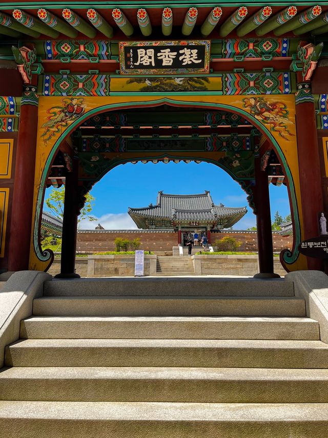 거대한 해수관음상이 있는 양양 낙산사🌊