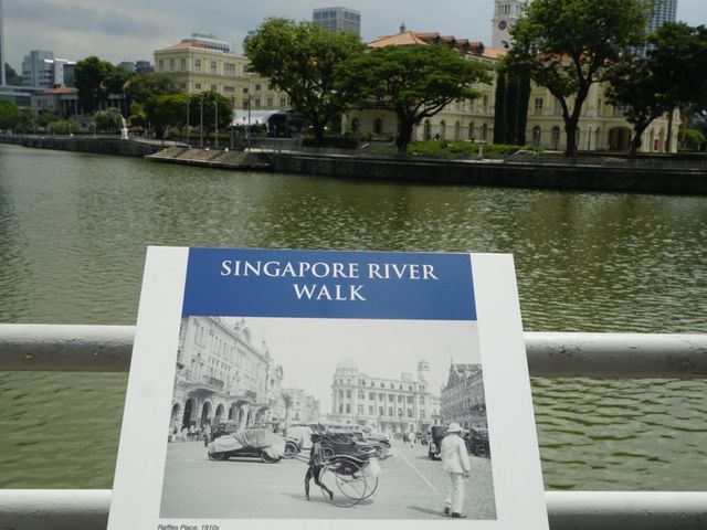Cavenagh Bridg