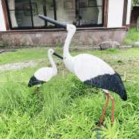 【兵庫県:城崎温泉】7つの外湯めぐり〜鴻の湯〜