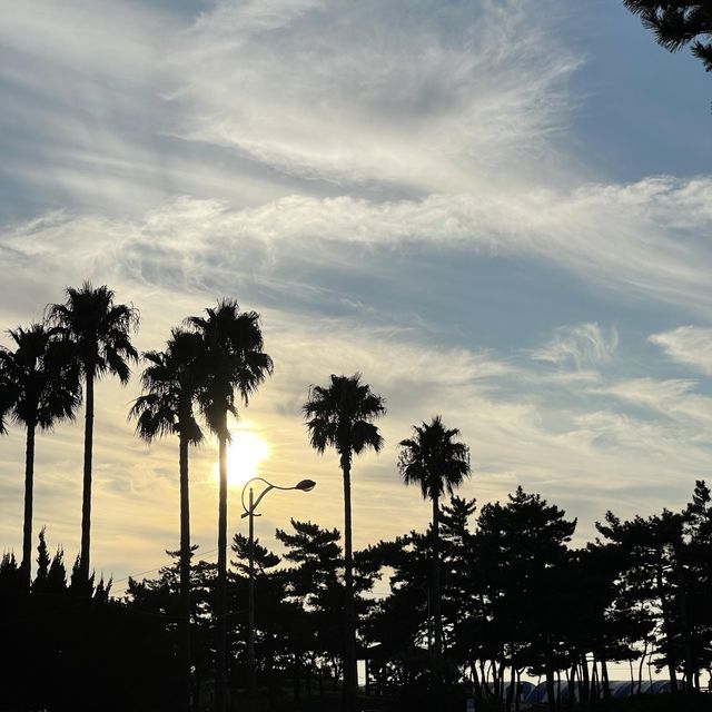 제주 바다에서의 바캉스, 이호테우 해변에서 시작💙