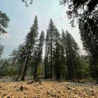 One Of The Top 10 Hiking Spots In US