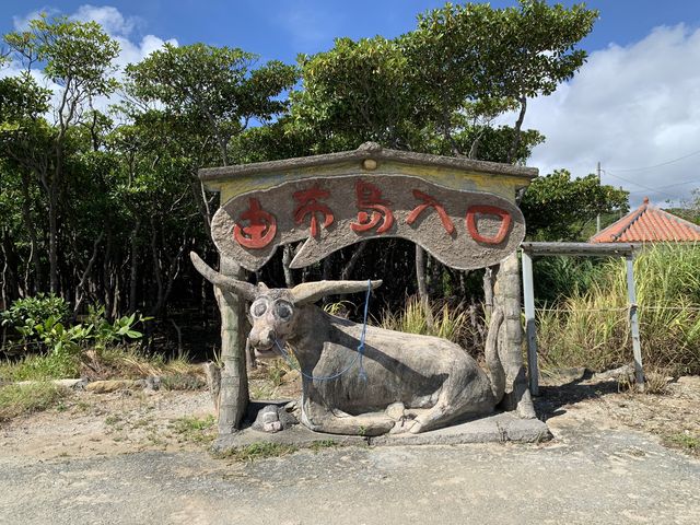 沖縄　沖縄旅行　水牛車でおじぃの唄を聴きながら、ゆったり渡る由布島❗️