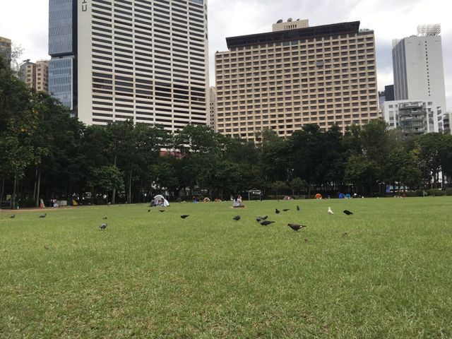 Spending time in Victoria Park