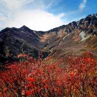 The Tateyama Kurobe Alpine Route