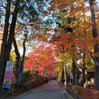 岩手県！世界遺産【平泉】中尊寺圧巻の紅葉