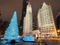 Evening Walk - Chicago during Christmas 