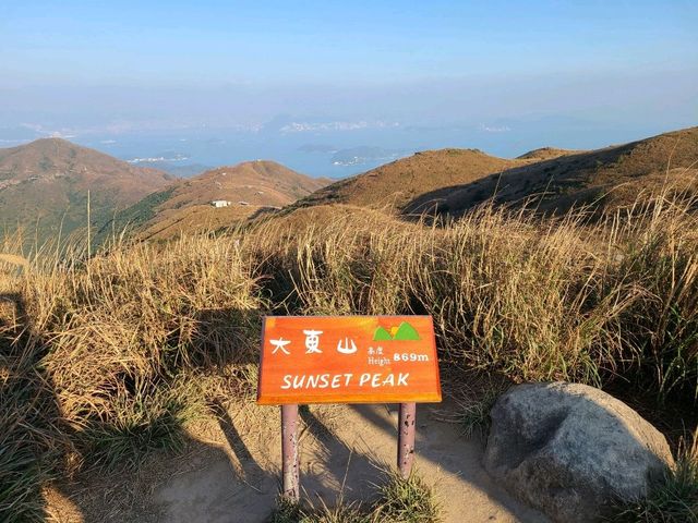 【秋冬賞芒系列~大東山🌾】