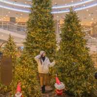 🎄부산에서 크리스마스에 진심인 백화점 [부산, 롯데백화점 서면점]
