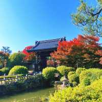 【京都】ブッダガヤ大塔を模した仏舎利塔