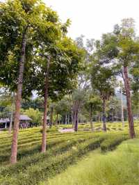 Veranda High Resort Chiang Mai