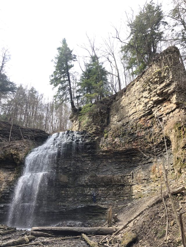 Falls Capital