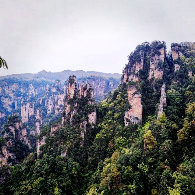 Zhangjiajie National Forest Park