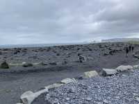 冰島🇮🇸 全球最美沙灘之一 Reynisfjara黑沙灘
