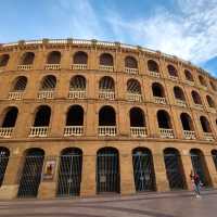 Bull Fighting Arena