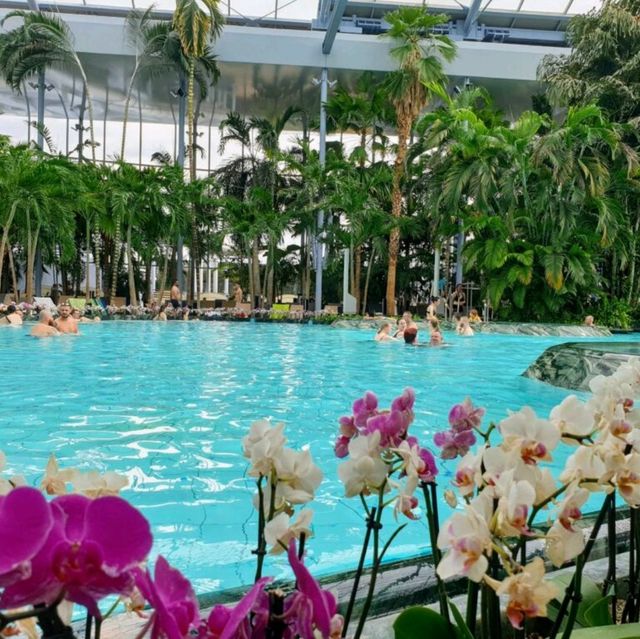 Chill at Therme 
