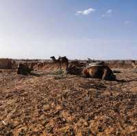 Merzouga Town Tour