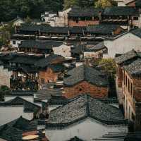 白墙黛瓦杏叶黄 柿外桃源烟火篁