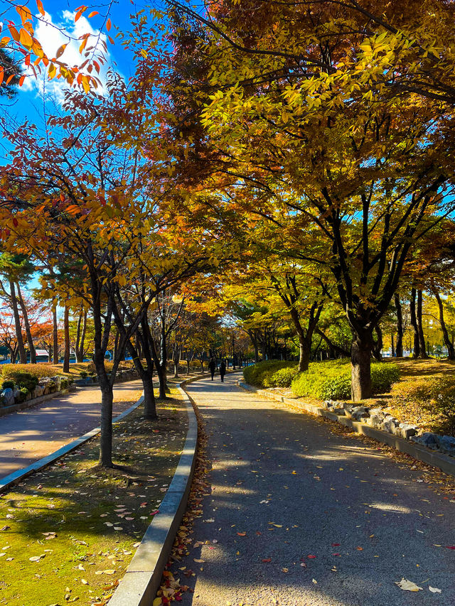 단풍뷰의 여의도 공원