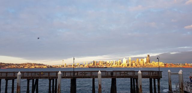Alki Beach overlooking Seattle Skyline