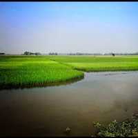 Baikka Beel Wetland Sanctuary