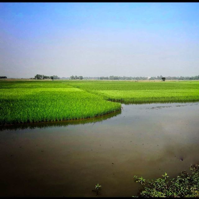 Baikka Beel Wetland Sanctuary