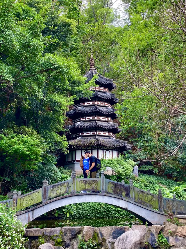 Lovely urban Park in Shenzhen 🌳