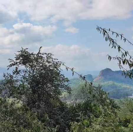 打卡福建連城冠豸山地質公園
