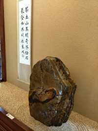 志蓮淨苑遊記