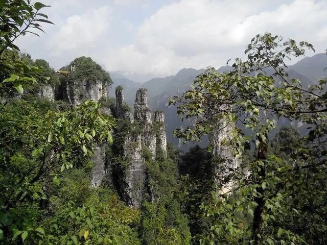 Wufeng Chaibu Creek | Zhangjiajie of Hubei people