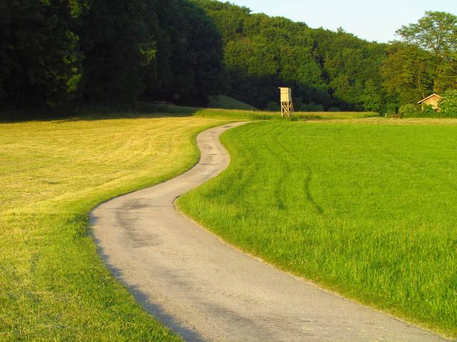 Austria Feng Shui observation