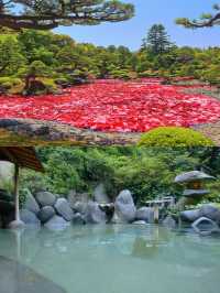 2023 🇯🇵 Japan Travel Guide | Shimane, this niche place is going to be popular‼️