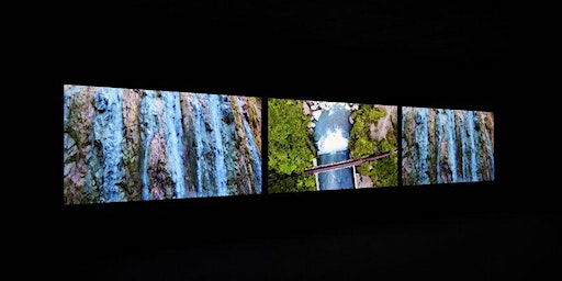 Artes Mundi 10: BSL tour - Taloi Havini | MOSTYN