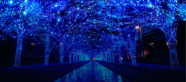 青の洞窟 SHIBUYA | 渋谷公園通りから代々木公園ケヤキ並木