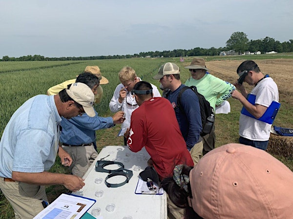 2025 KATS Crop Scouting Workshop | 1205 Hopkinsville St