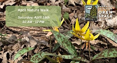 April Nature Walk // 4.19.25 | Mountain Lakes House