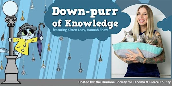 Workshops with Kitten Lady | Hotel Murano