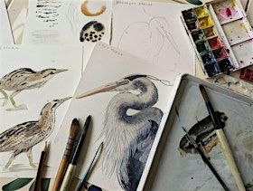 Introduction to Birds in Watercolour at Cuckmere Haven | Seven Sisters Country Park - Visitor Centre