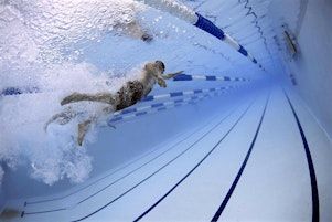Level 6 Swim Lessons 9:40 a.m. to 10:10 a.m. - Summer Session 2 | Wollman Aquatic Center